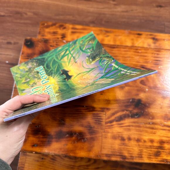 The Web At Dragonfly Pond Paperback Book - Picture 7 of 7